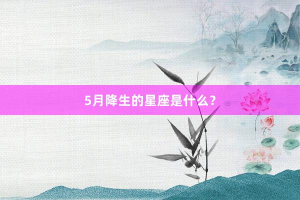 5月降生的星座是什么？